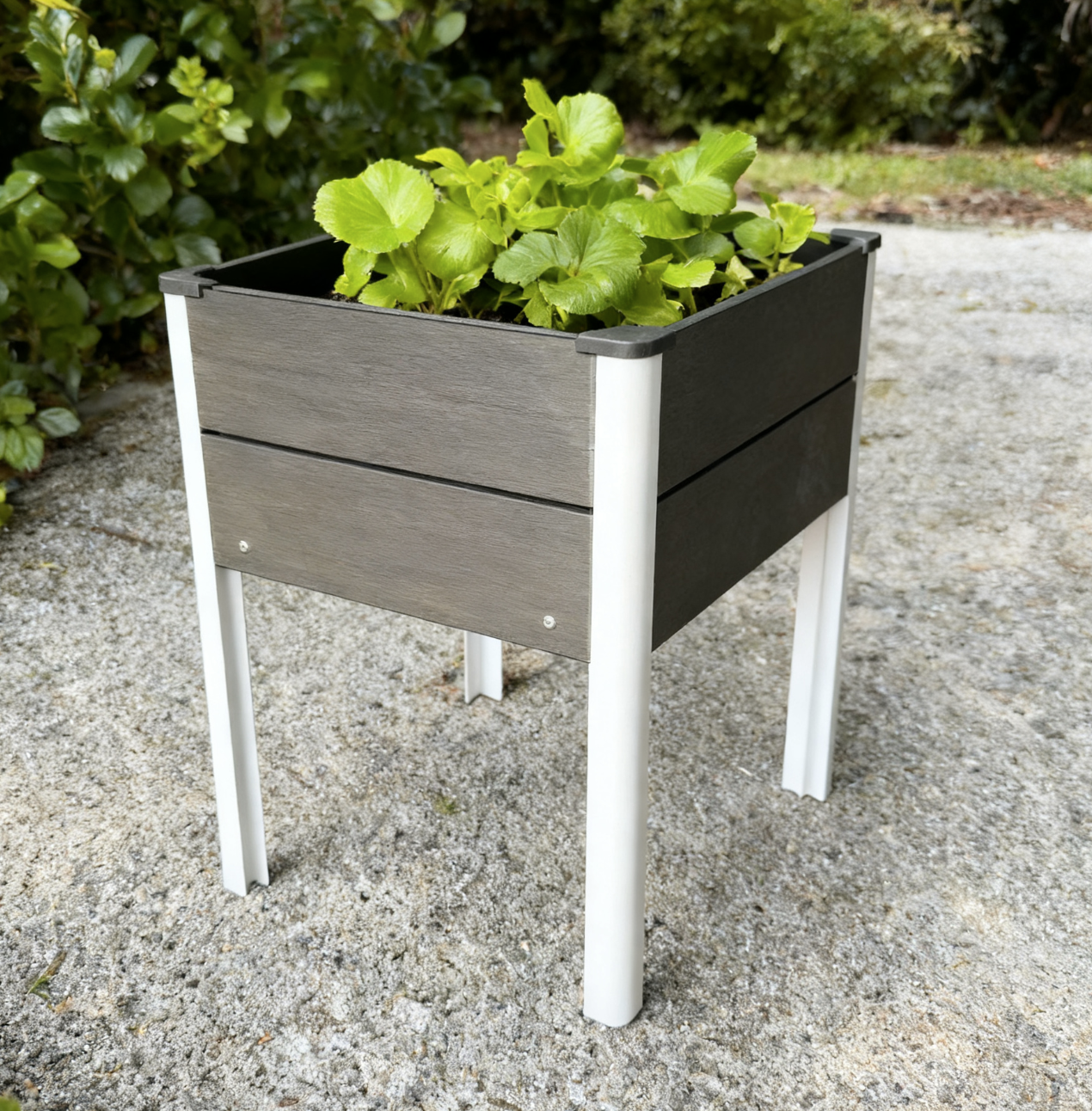 Raised Square Planter 500 x 600 x 900 mm